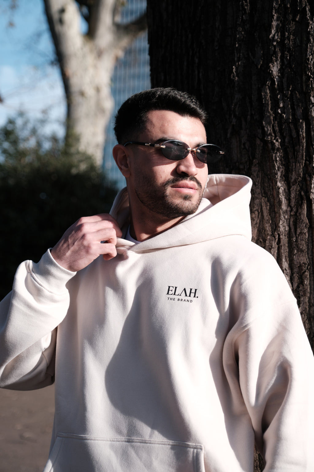 Palästina / Palestine  Oversized Hoodie Unisex